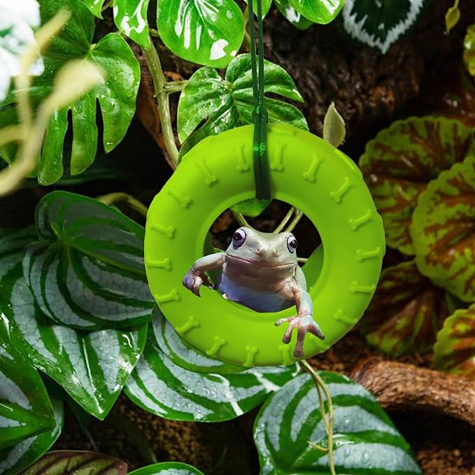 JSLZF 2PCS Tree Frog Habitat Frog Tank Accessories Terrarium Decor Frog Climbing Swing with Suction Cup Hook Green Rubber Climbing Toy for Frogs
