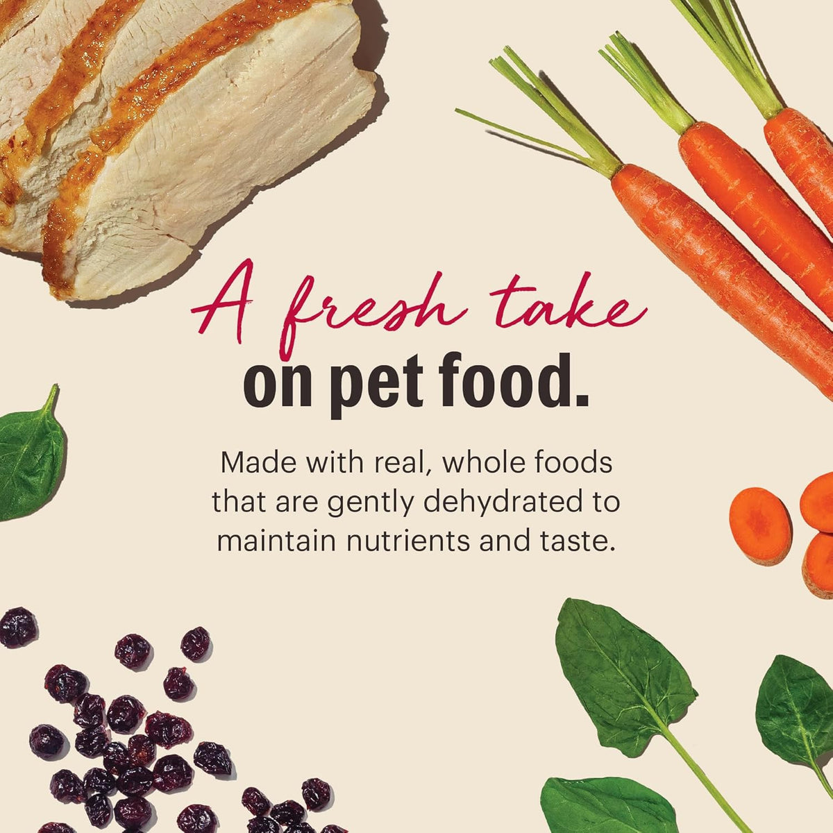 The Honest Kitchen Wholemade™ Grain Free Turkey Dog Food, 10 lb Box