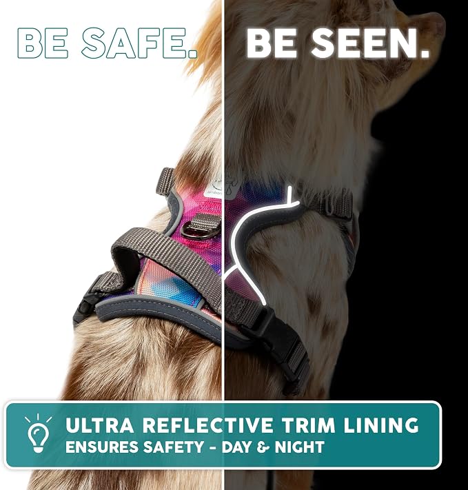Embark No Pull Dog Harness, Reflective Adjustable Training Vest, No Choke | Adjustable straps fit all dog breeds with sturdy hooks; 360° reflective trim, soft padded Harness Design for All Dogs