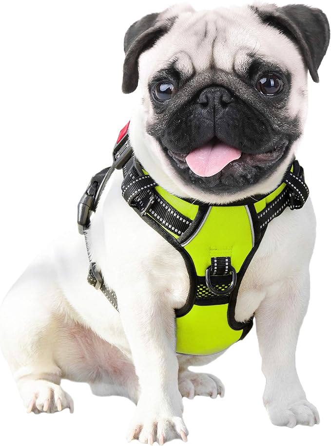 No Pull Dog Harnesses for Small Dogs Reflective Adjustable | Front Clip Vest with Handle 2 Metal Rings 3 Buckles [Easy to Put on & Take off](S, Green)