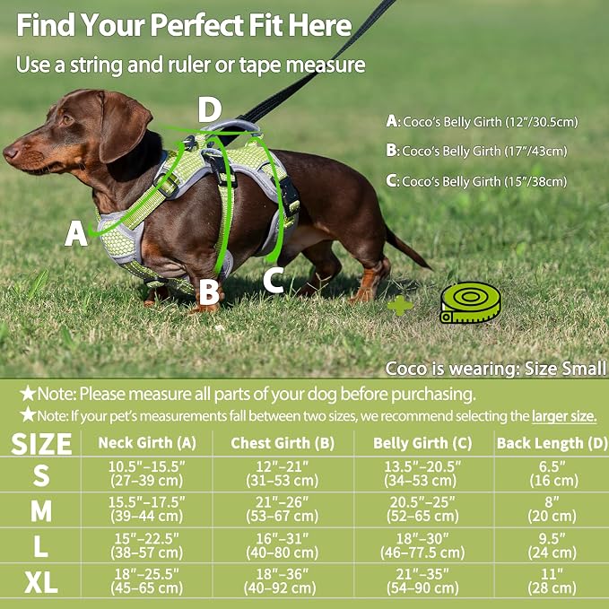 Escape Proof Dog Harness, Dachshund Harness, Reflective Dog Harness with Handle, Durable,Adjustable Vest for Small Medium Large Dogs Walking, Training, and Running Gear (Green,L)