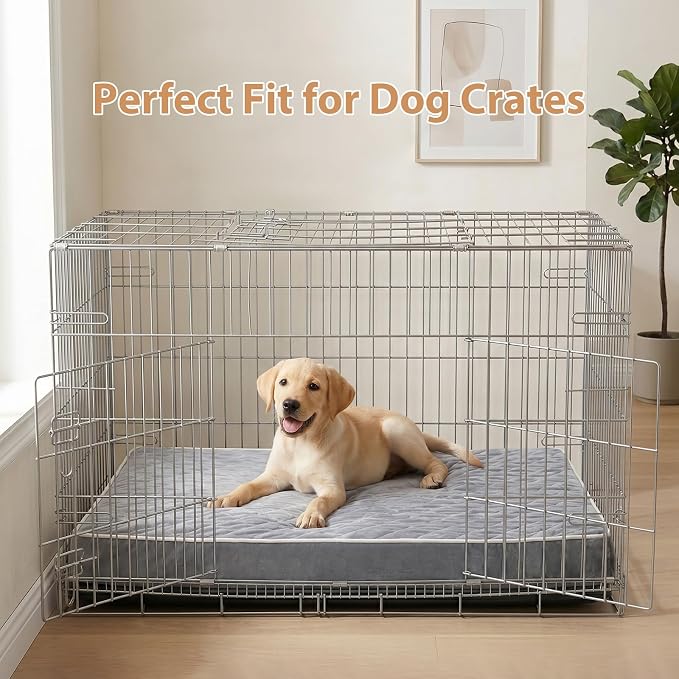 WNPETHOME Orthopedic XXL Dog Beds for Large Senior Dog Bed Comfy Sleeping | XXL Washable Waterproof Dogs Bed with Removable Cover, Multi-Needle Quilting Dogs Crate Bed for Relax , Light Grey 55x42 Inch