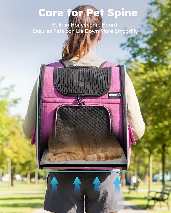 pecute Cat Backpack Extendable, Cat Carrier Backpack with Breathable Window