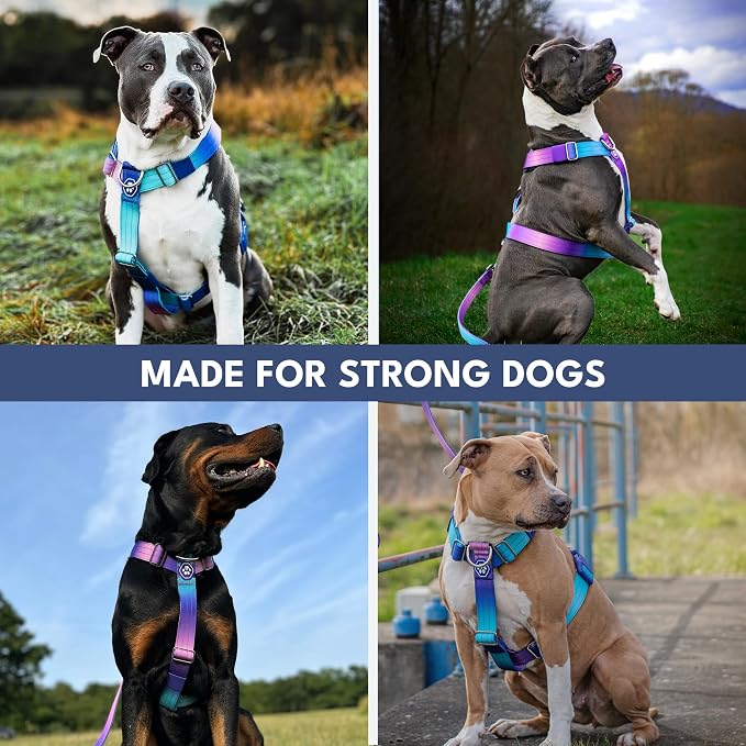 Spark Paws Comfort Control No Pull Dog Harness - Heavy Duty Front Clip | Safety Tested for Strong Breeds, w/ Metal Buckle & Top Handle – Padded Y-Straps Redirect Pulling. Solo or Matching Leash Set