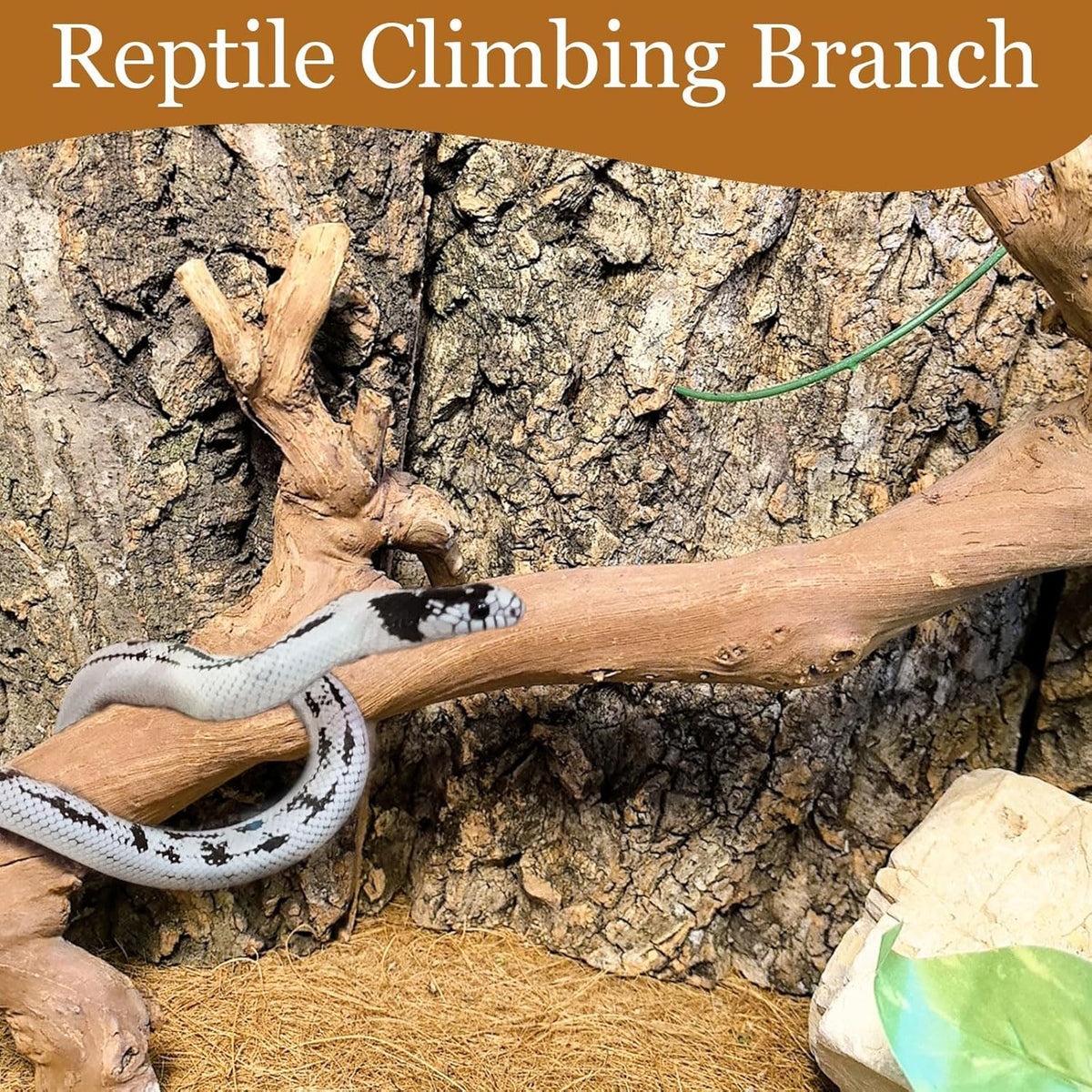 kathson 2PCS Snake Climbing Branch,Reptile Wood Branches Decor, Lizard Natural Wood Climb Accessories,Reptiles Habitat Tank Tree Trunk Decorations for Bearded Dragon Geckos Chameleons Frog