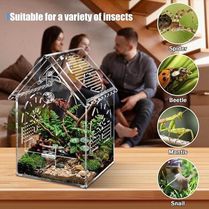 Jumping Spider House Enclosure, Seamless Acrylic Praying Mantis Habitat, 5"x5"x8.3", Medium