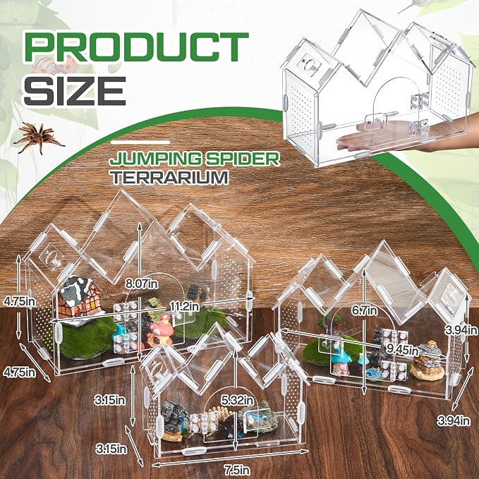 Weysat Jumping Spider Enclosure 11.2" x 4.7" x 8" Acrylic Tarantula Enclosure Castle Style Insect Terrarium with Magnetic Door Transparent Terrarium for Reptiles, Amphibians and Spiders