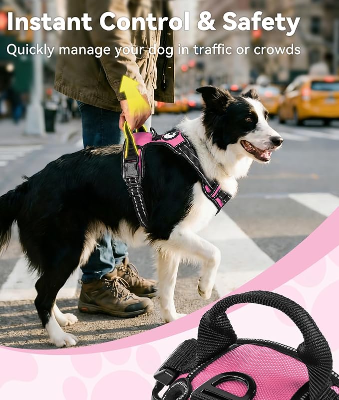 Joytale No Pull Dog Harness Medium Sized Dog, Front Clip, Hot Pink | Grab Handle for Instant Control, Padded & Adjustable Vest, Sturdy Metal D-Rings, for Safe Training & Daily Walking