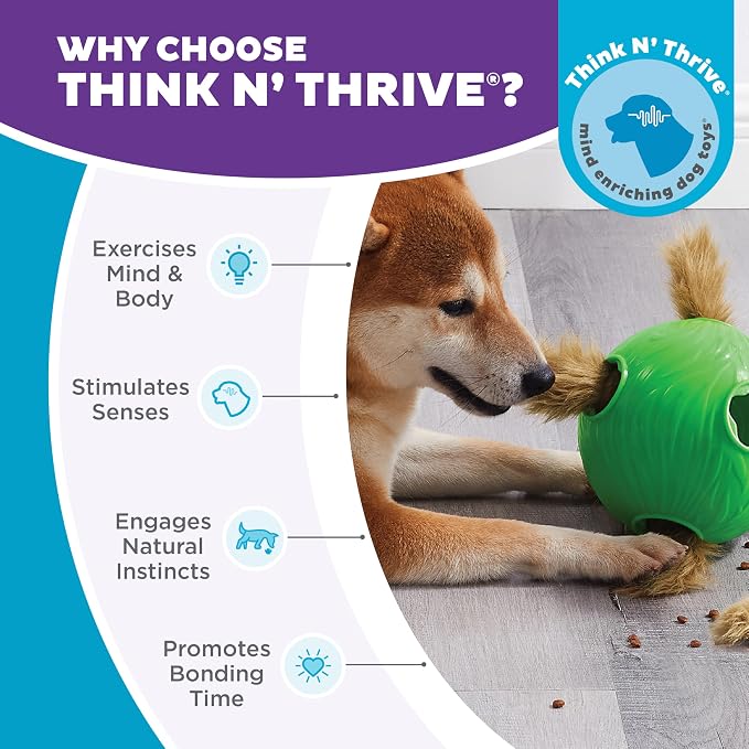 Outward Hound by Nina Ottosson Dog Snuffle N' Treat Ball Puzzle, Level 2 Intermediate, Green, Large