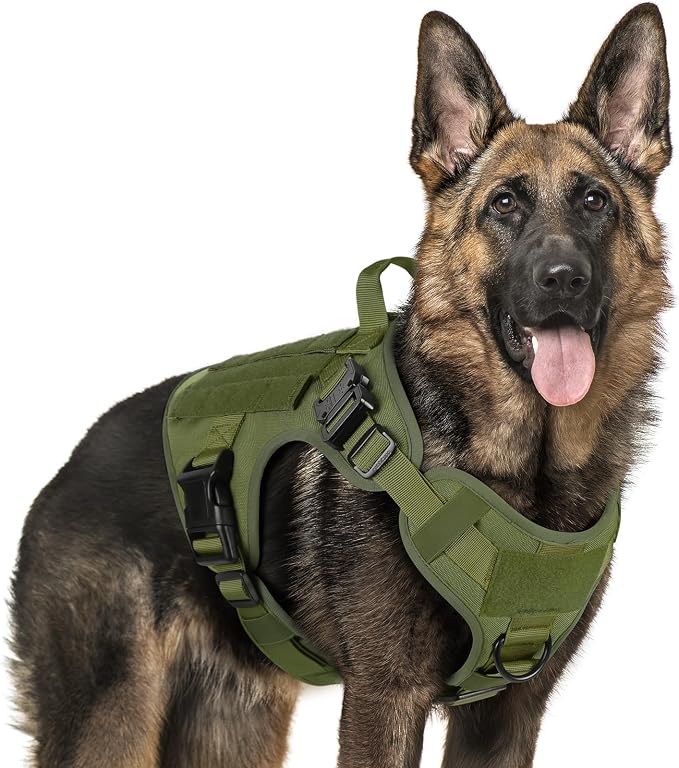 rabbitgoo Tactical Dog Harness X-Large, Heavy Duty Military No Pull Vest | Sturdy Metal Buckles, 5 Adjustments, Molle System, Powerful Pullers for Training, Hunting, Outdoor, Green, X-Large