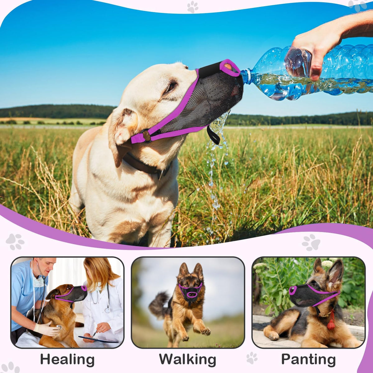 Dog Muzzle, Soft Air Mesh Muzzle for Small Medium Large Dogs Anti Biting Barking Chewing Scavenging, Breathable Adjustable Loop Pets Muzzle with Front Opening Design Allows Panting Drinking(Purple,XL)