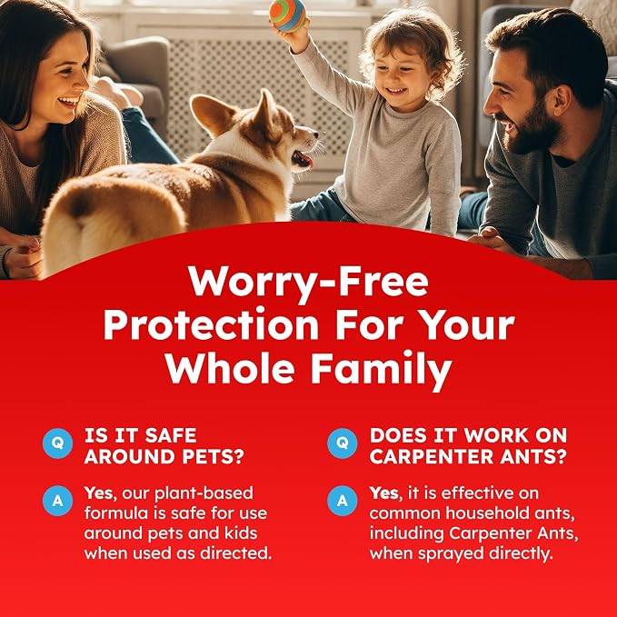 BugMD Pet Safe Ant Killer & Ants Spray Indoor Outdoor | Natural Plant-Based Ant Repellent that Kills on Contact with a Fresh Scent (Pack of 2)
