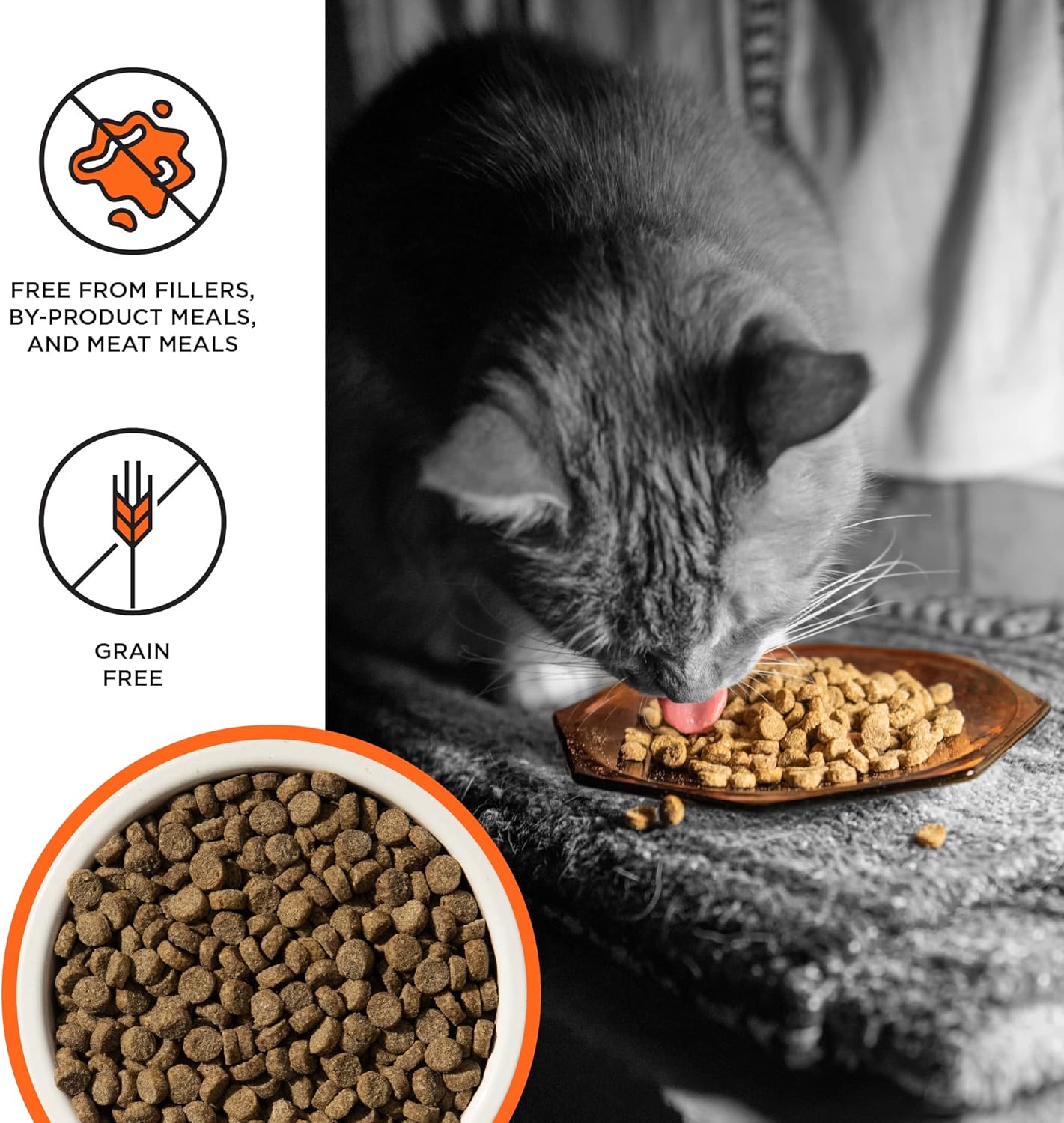 BIXBI Liberty Dry Food Chicken Recipe for Cats, 10lb