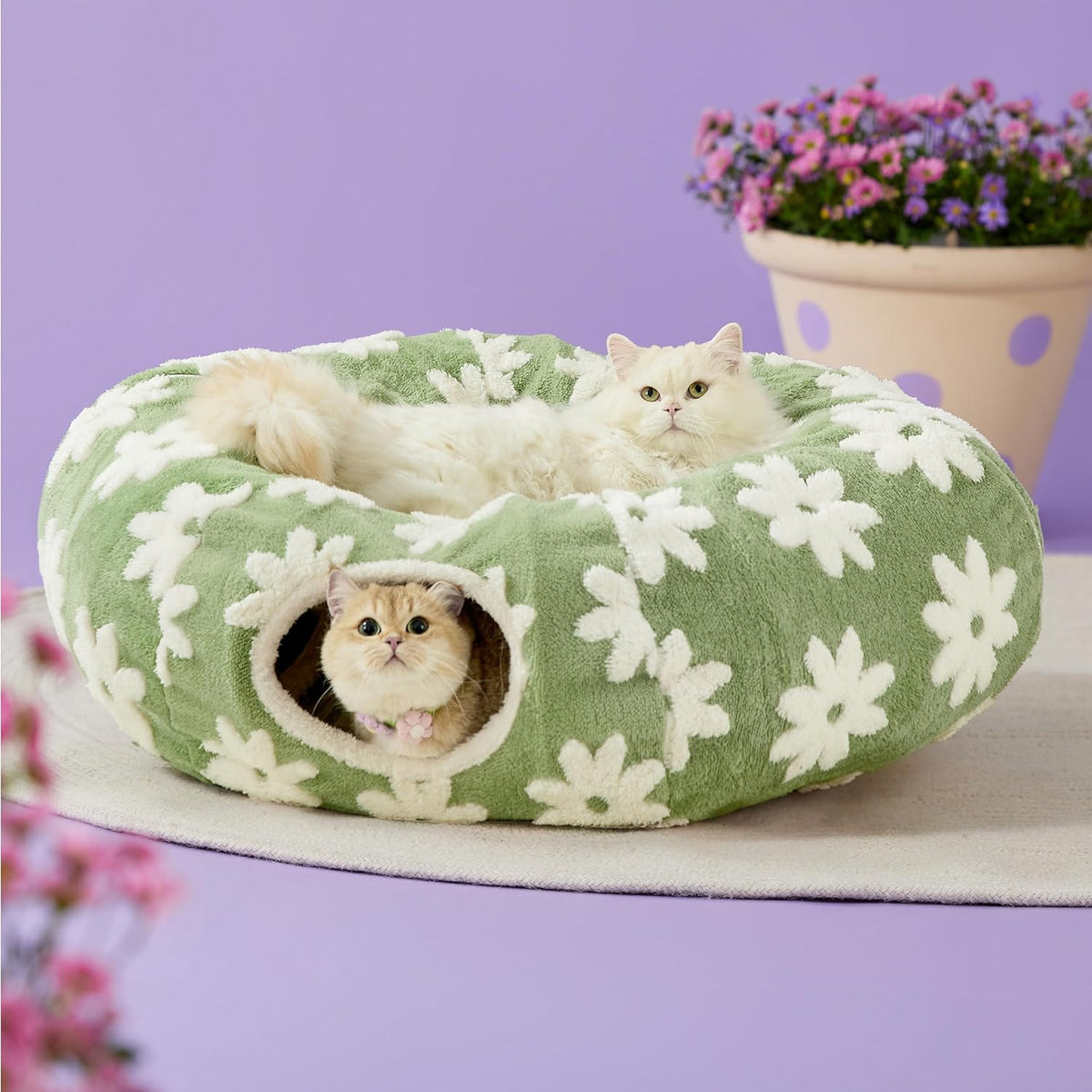 Lesure Cat Tunnel Bed for Indoor Cats - Cute Cat Donut Tunnel Toys for Small Large Cats with Washable Circle Cushion, Round Pet Peekaboo Cave Toy for Kitten/Puppy/Rabbit, Standard Green