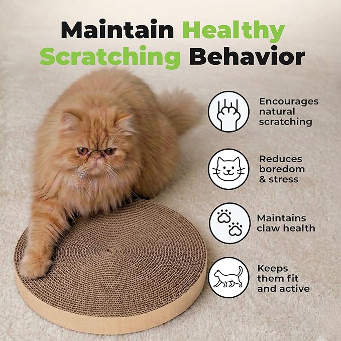 Best Pet Supplies Catify Cat Scratcher, Fun Interactive Scratchers, Posts, Poles, Claw Safe, Furniture Saver Indoor Play Support Natural Cat Behaviors Heavy Duty - Round(5 Pack)