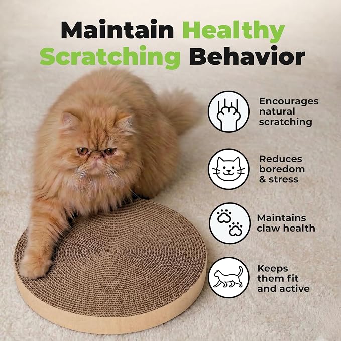 Best Pet Supplies Catify Cat Scratcher, Fun Interactive Scratchers, Posts, Poles, Claw Safe, Furniture Saver Indoor Play Support Natural Cat Behaviors Heavy Duty - Round(3 Pack)