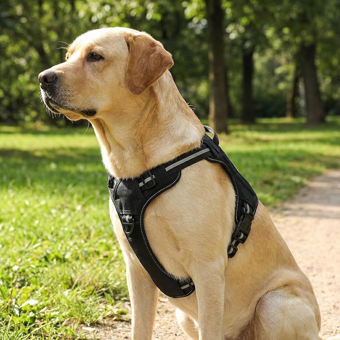Amazon Basics No-Pull Dog Harness, Adjustable Front Clip, Escape Proof Tactical Vest, X-Large, Black