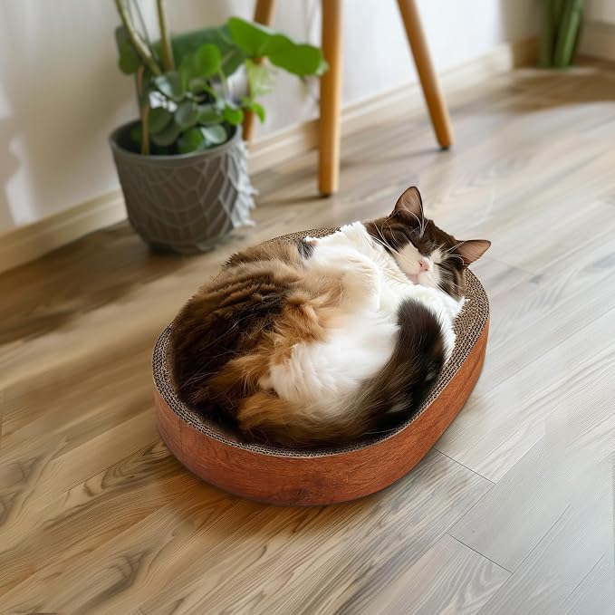 ComSaf Cat Scratcher Bed, Oval Cardboard Scratching Board for Indoor Cats | Shallow Bowl Shape,Scratch Pad Surface, Corrugated Cardboard, Furniture Protection, Cat Lounger, Claw Care