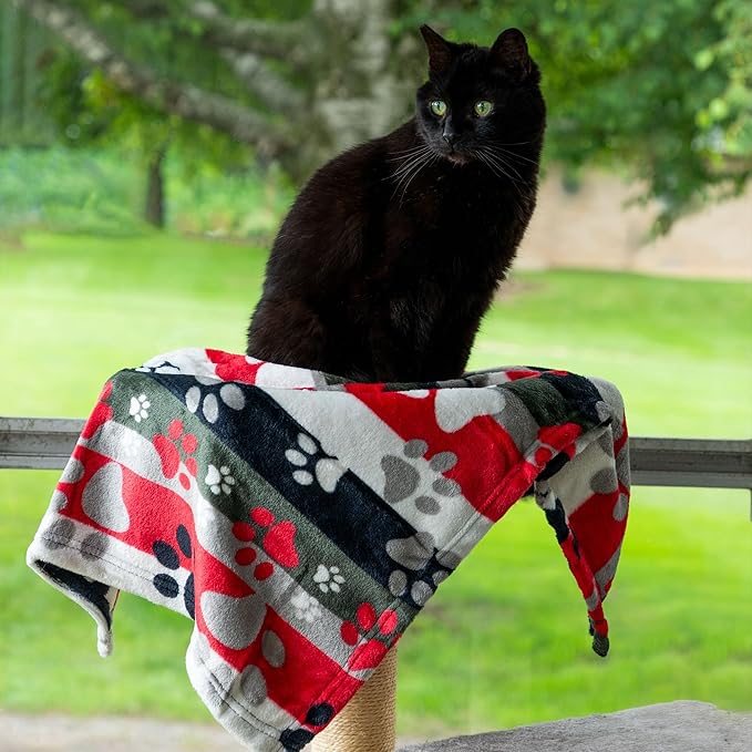 Pet Dog Cat Blanket Ultra Soft Cozy Fleece Paw Print Design Machine Washable Durable for Crates Beds Sofas Travel (Argyle Paws, Large)
