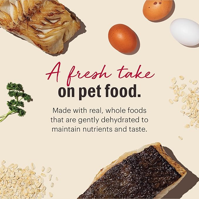 The Honest Kitchen Human Grade Wholemade™ Dehydrated Whole Grain Fish & Oats Dog Food - Complete & Balanced Meal or Topper - 4 lb Box
