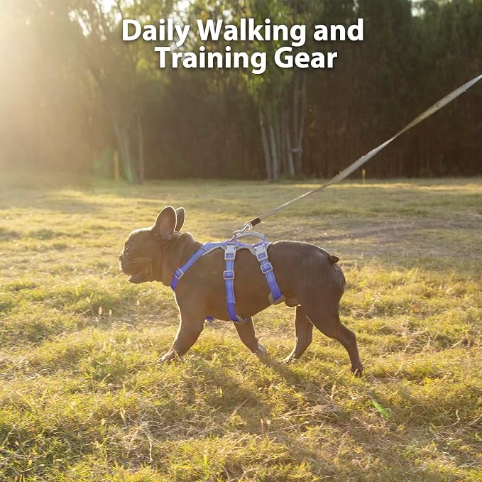 Escape Proof Dog Harness, No Pull Reflective Harness with Lift Handle, Adjustable Pet Vest with Front and Back Leash Clips for Small Medium Large Dogs Walking Hiking Training (Vista Blue,L)