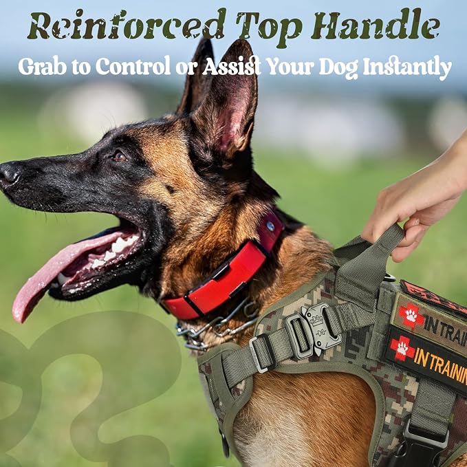 rabbitgoo Tactical Dog Harness for Small, Heavy Duty Military No Pull Vest | Sturdy Metal Buckles, 5 Adjustments, Molle System, Powerful Pullers for Training, Hunting, Outdoor, Green Camo, Small
