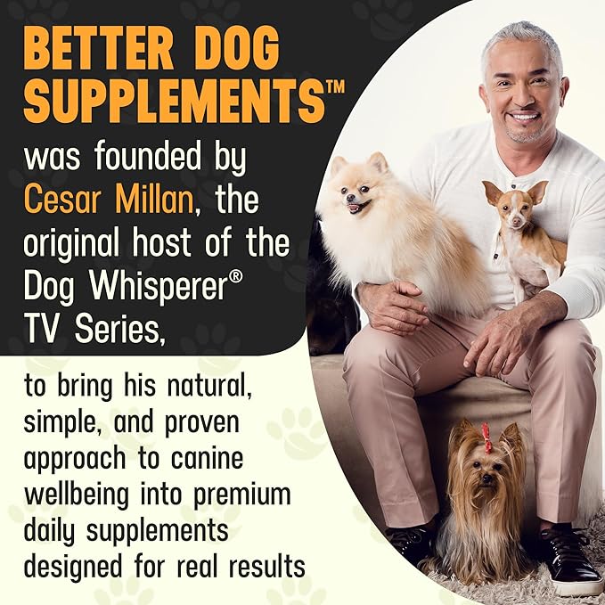Better Dog Supplements Calm Surrender by Cesar Millan – Natural Dog Calming Powder for Stress, Anxiety, Grooming, Travel & Thunderstorms – Catnip, Chamomile & Valerian – 4oz, (60-Day Supply)