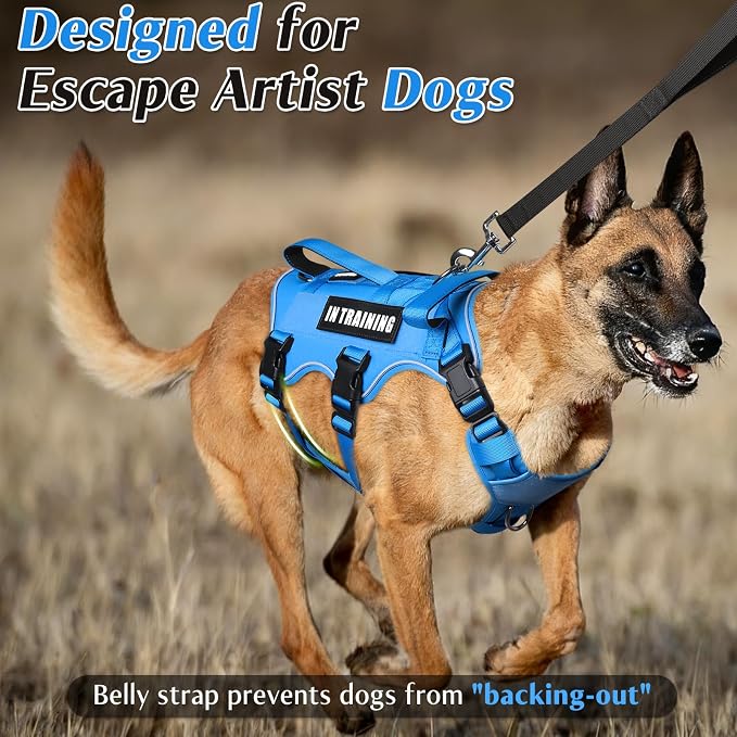 Escape Proof Dog Harness with Double Handle+4 Removable Patches | Service Working Molle Harness with Double Handle for Medium Dogs, Tactical Pet Reflective Vest for Walking Hiking Hunting