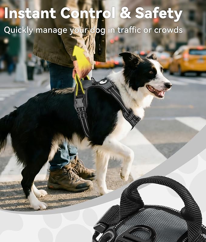 Joytale No Pull Dog Harness Medium Sized Dog, Front Clip, Gray | Grab Handle for Instant Control, Padded & Adjustable Vest, Sturdy Metal D-Rings, for Safe Training & Daily Walking
