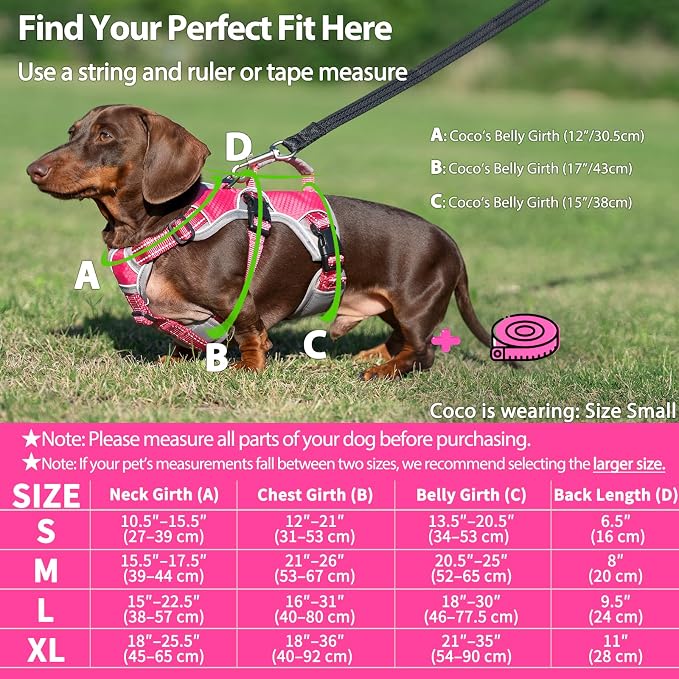 Escape Proof Dog Harness, Dachshund Harness, Reflective Dog Harness with Handle, Durable,Adjustable Vest for Small Medium Large Dogs Walking, Training, and Running Gear (Rose red,S)