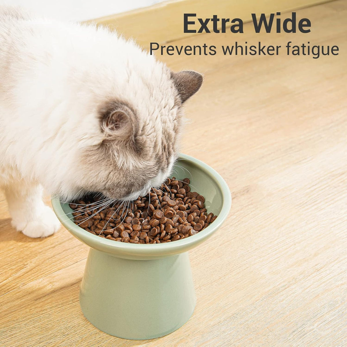 Extra Wide Elevated Ceramic Cat Bowl, 6.2" Shallow Dish for Whisker Fatigue Relief, 5" Height for Easy Feeding, Durable Raised Cat Food Bowls, Pack of 2, Sage Green