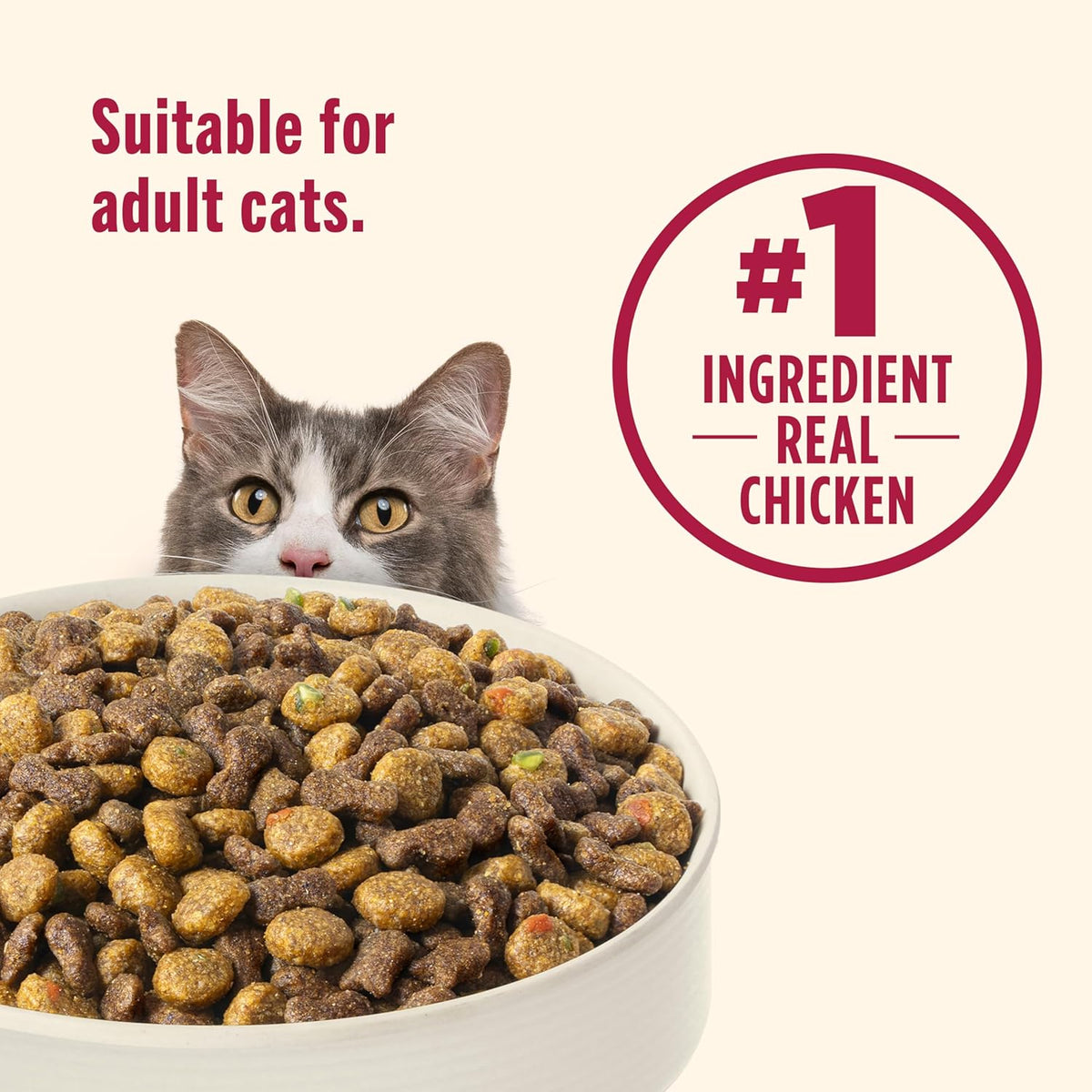 Nutrish Everyday Digestion Dry Cat Food, Chicken Brown Rice and Salmon Recipe with Peas and Carrots, 3 lb. Bag, 4 Count, (Rachael Ray)