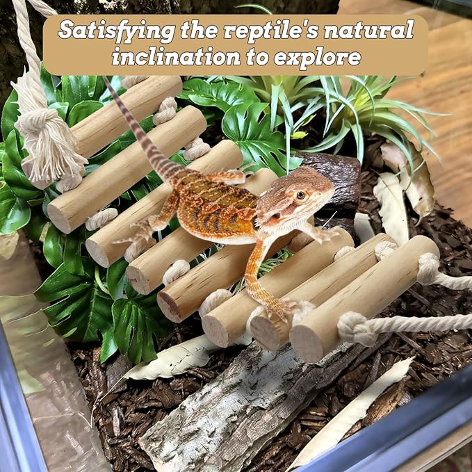 VCEPJH 2pcs Reptile Bridge Leopard Gecko Climbing Ladder Wooden Basking Lounger Reptile Tank Accessories for Hermit Crab Juvenile Bearded Dragon Chameleon Small Lizard Tree Frog and Turtle