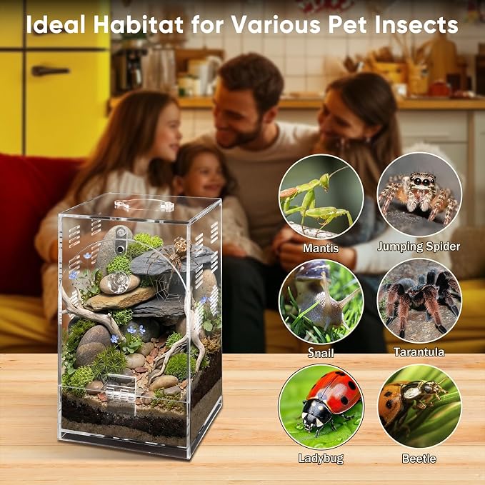 Acrylic Jumping Spiders Enclosure 360 Rotating 4.3" x 4.3" x 7.5" Praying Mantis Habitat