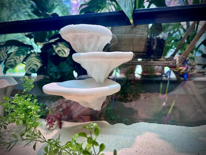 Mushroom Ledge for Terrarium – Climbing & Resting Platform with Suction Cups (Bone, 6''x4.5''x5.25'')