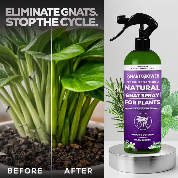 Natural Gnat Spray for Plants (8oz) – Fungus Gnat Killer for Indoor Plants – Essential Oil Plant Bug Spray – Ready to Use – Pet and Family Friendly, Houseplant Insect Control - Smart Grower