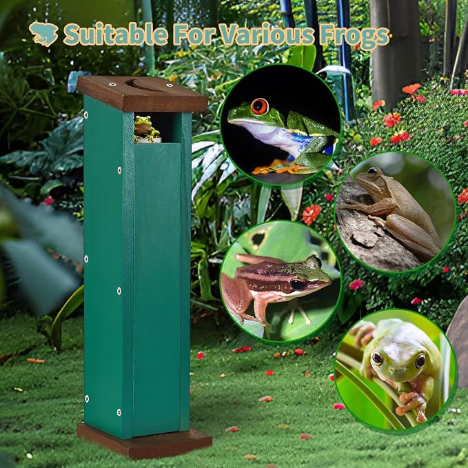 Tree Frog House for Many Species of Tree Frogs, Deluxe Wood Tree Frog Nest Frog Habitat Frog Shelter for Outside Garden, Indoor Breeding (Green)