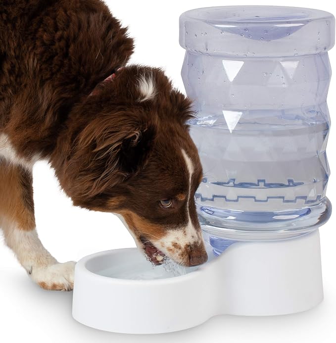 PetFusion H2O Gravity Pet Water Dispenser. Durable 2.5 Gallon Waterer Feeder. Automatic Station for Cats & Small, Medium, Large Dogs, Transparent