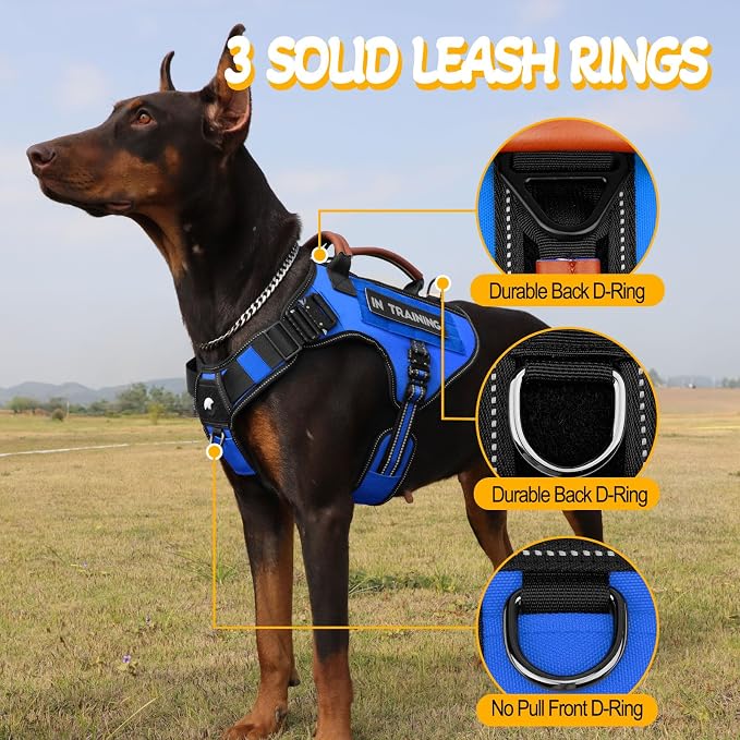 Service Dog Vest - HEYCAHVA Tactical Dog Harness Full Metal Buckles Dog Vest for Large Medium Dog Reflective No Pull Dog Harnesses with Leather Handle, Hook & Loop for Hiking Training (Blue, XL)