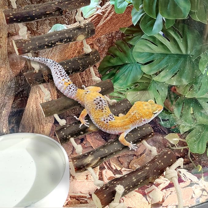 VCEPJH 2pcs Reptile Bridge Leopard Gecko Climbing Ladder Wooden Basking Lounger Reptile Tank Accessories for Hermit Crab Juvenile Bearded Dragon Chameleon Small Lizard (Fruit Wood)