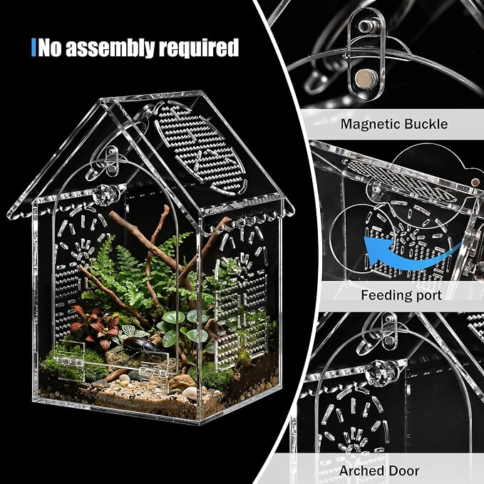 Jumping Spider Enclosure House Shape Design, Seamless Acrylic Tarantula Terrarium for Spiders and Small Reptiles, 6"x6"x10" (Large)