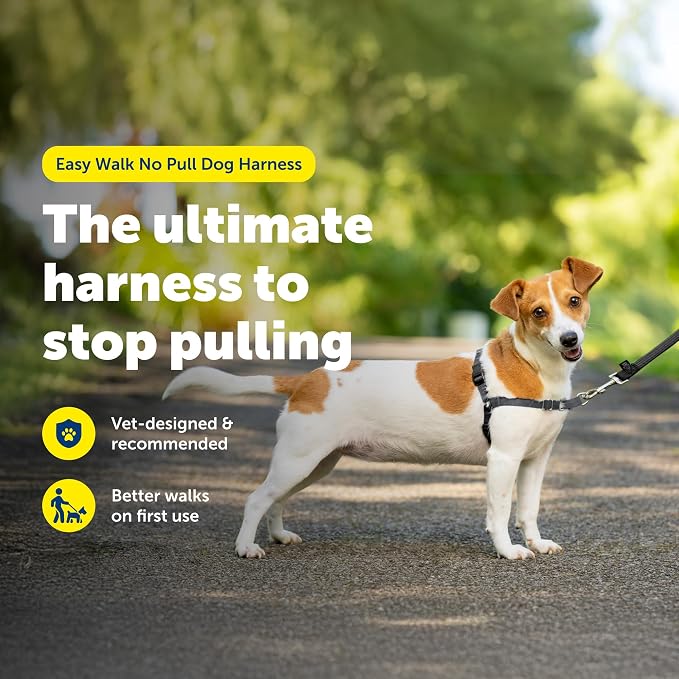 PetSafe Easy Walk Harness, No Pull Dog Harness, Charcoal Gray, Small | Patented Martingale Loop Gives Gradual Shoulder Pressure to Stop Pulling, Front-Chest Leash Clip Prevents Gagging