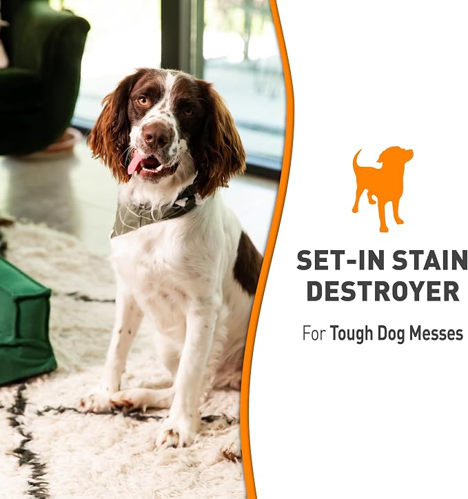 Nature’s Miracle Set-In Stain Destroyer For Dog Messes, 24 Ounces, Oxy Formula With Orange Scent