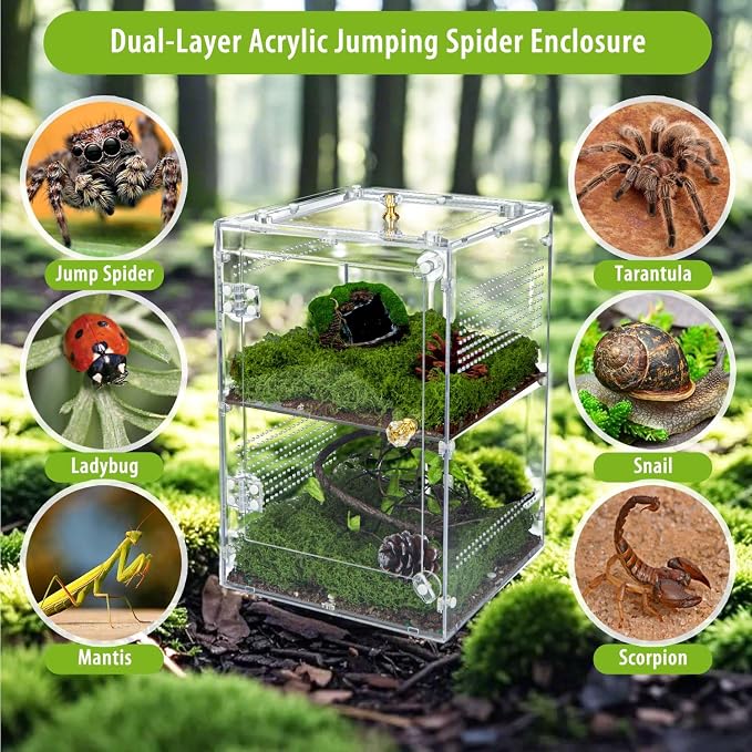 Large Jumping Spider Enclosure, 2 in 1 Ventilated Reptile Terrarium for Praying Mantis,Arboreal Tarantula,Crested Gecko, 12"*8"*8" Acrylic Habitat with Removable Divider,Front Opening & Top Lid