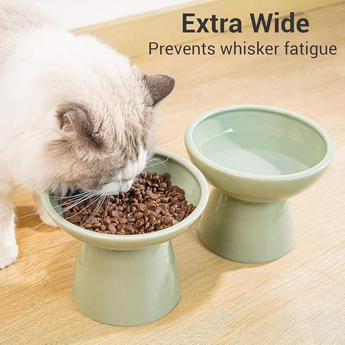 CEEFU 2 Elevated Ceramic Cat Bowls Extra Wide for Food & Water – Whisker Fatigue Shallow Food Dish, Lead & Cadmium-Free, Raised Height for Cats, Sage Green