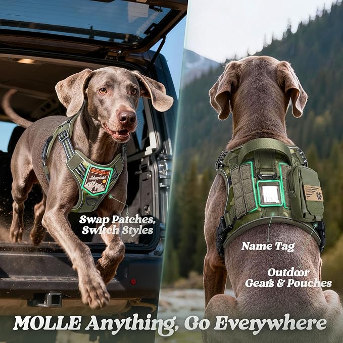 rabbitgoo Tactical Dog Harness for Large Dogs, No Pull Service Pet Vest | Military Molle System & Easy Control Handle, Adjustable and Reflective for Walking and Training, Green Camo, X-Large