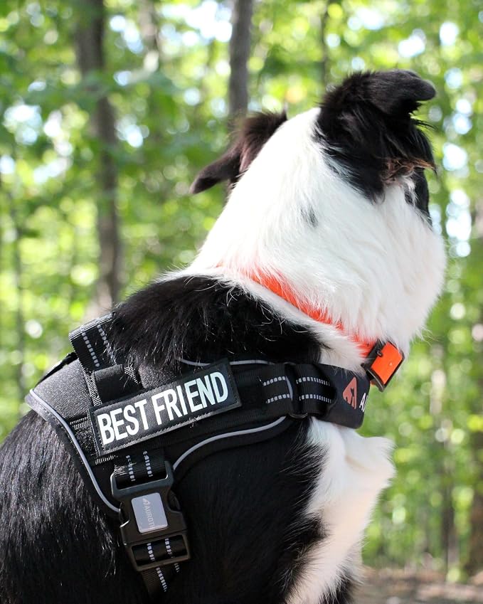 AUROTH Dog Harness and Leash Set for Medium Sized Dog, No Pull Dog Vest | with 5.25FT Dog Leash, Breathable Soft Padded, No choke, Reflective Tactical, Easy to Put on & Take Off - Black Medium