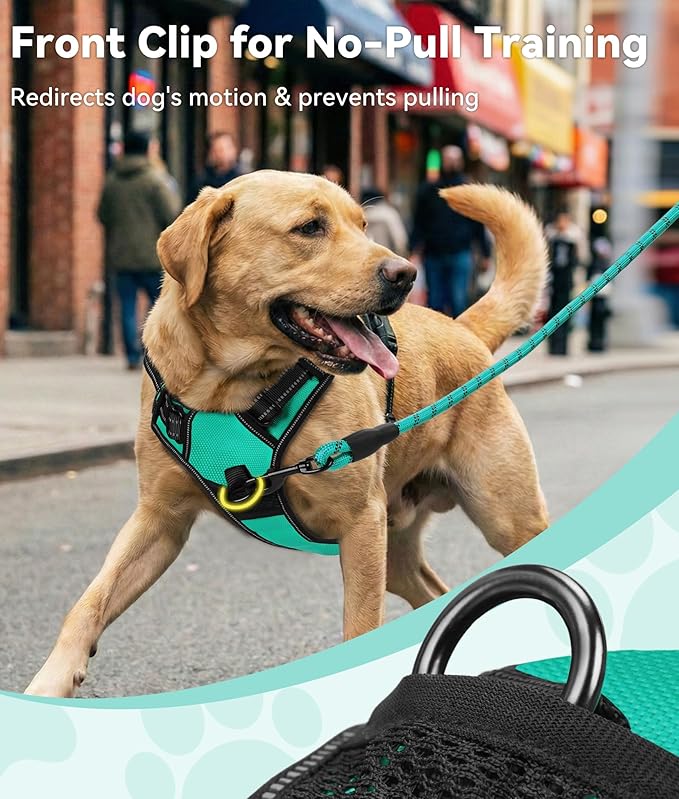 Joytale No Pull Dog Harness Medium Sized Dog, Front Clip, Teal | Grab Handle for Instant Control, Padded & Adjustable Vest, Sturdy Metal D-Rings, for Safe Training & Daily Walking