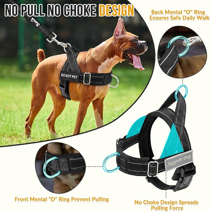 SlowTon No Pull Dog Harness with Front Clip - Heavy Duty, Soft Padded | Neck & Chest Adjustable, Tactical Pet Vest and Leash Set for Large Medium Sized Dogs, for Easy Walk & Training, Black M