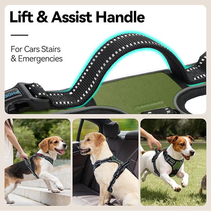 No Pull Dog Harness with Handle Front & Back Clip, Easy on | Lockable Snap Buckle at Neck, Adjustable Reflective Vest with Handle for Small Medium Large Dogs (XL, Misty Green)